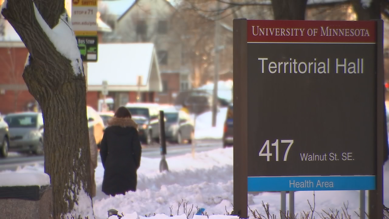 University Of Minnesota Fake Id Territorial